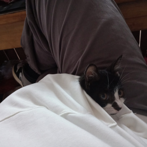 中山岩棉板厂家用小鲤营销导航
