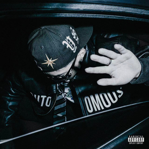 中山岩棉板厂家用小鲤营销导航
