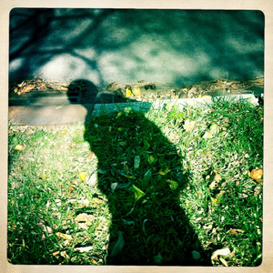 中山岩棉板厂家用小鲤营销导航
