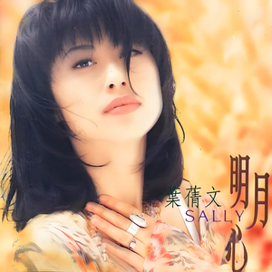 中山岩棉板厂家用小鲤营销导航
