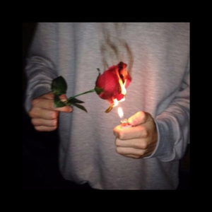 中山岩棉板厂家用小鲤营销导航
