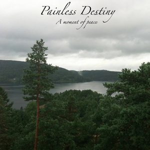 中山岩棉板厂家用小鲤营销导航
